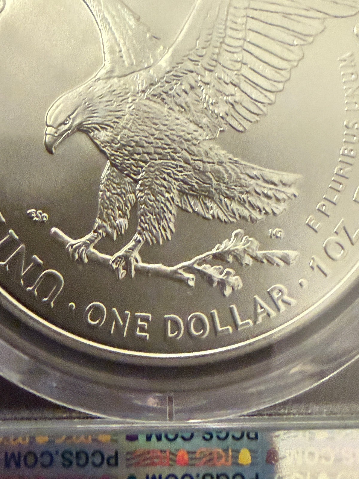 2024 Silver Eagle PCGS MS70 First Day of Issue Perfect Grade