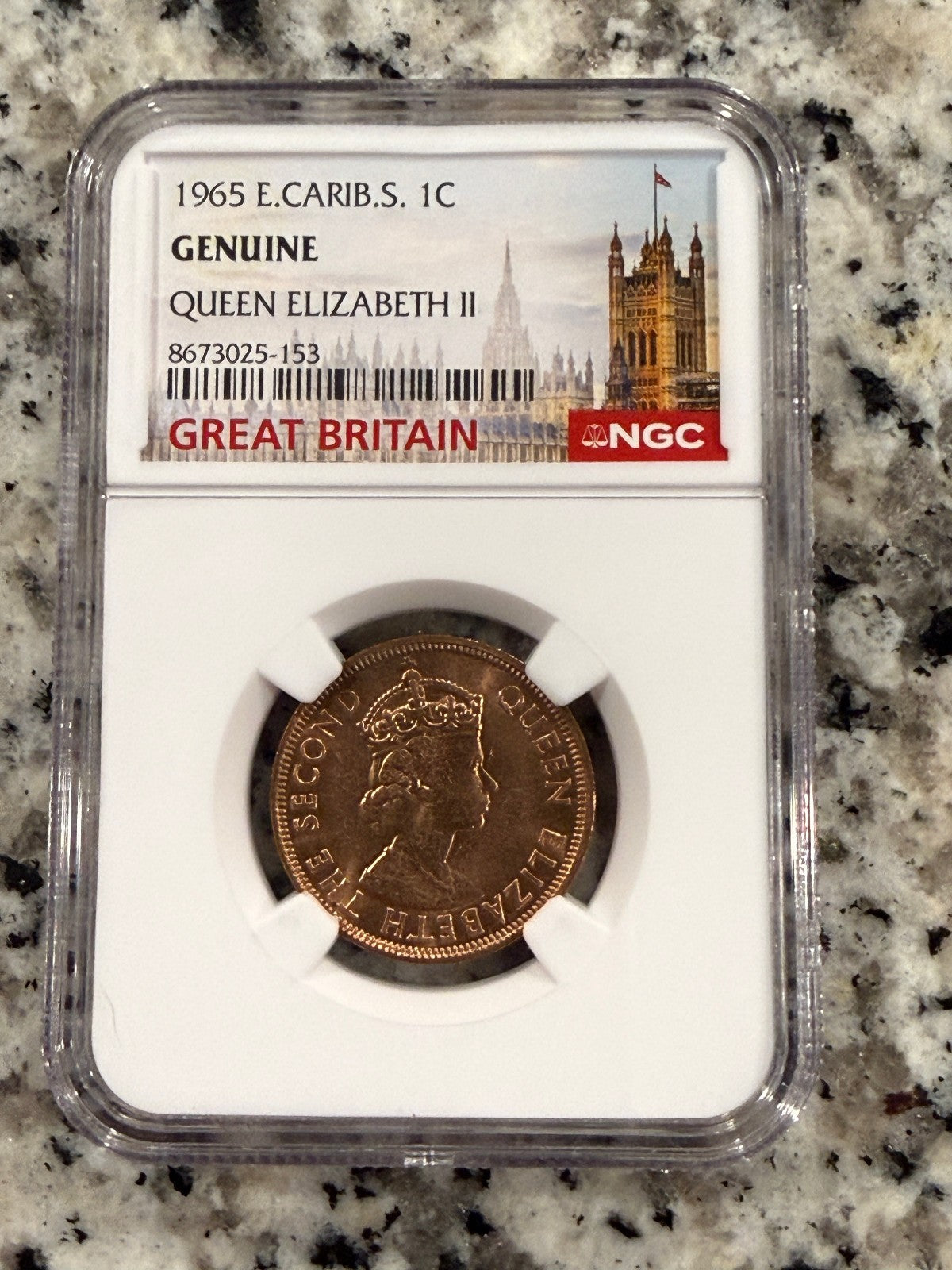 1965 Eastern Caribbean 1 Cent NGC Genuine Queen Elizabeth II Coin