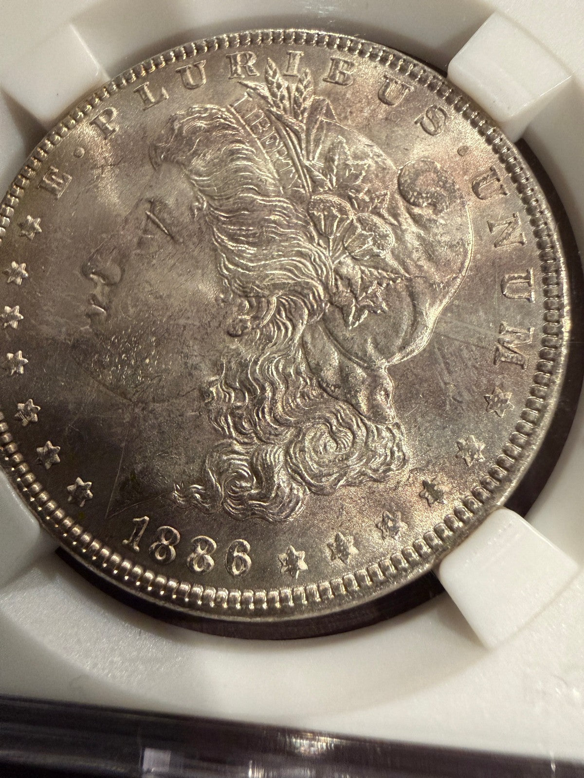 1886 Morgan Silver Dollar 90% Silver Beautiful Natural Toning US Coin