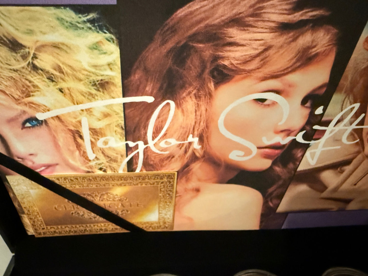 Taylor Swift Gold Plated Coin Collection Display Set Music Memorabilia