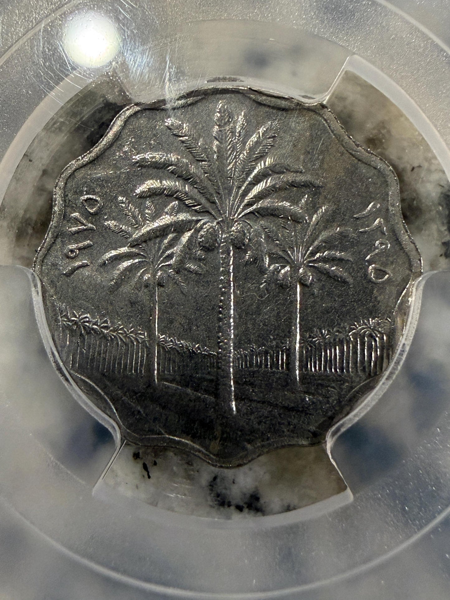 1975 Iraq 5 Fils AH1395 PCGS Genuine Slabbed Coin Desert Storm Holder