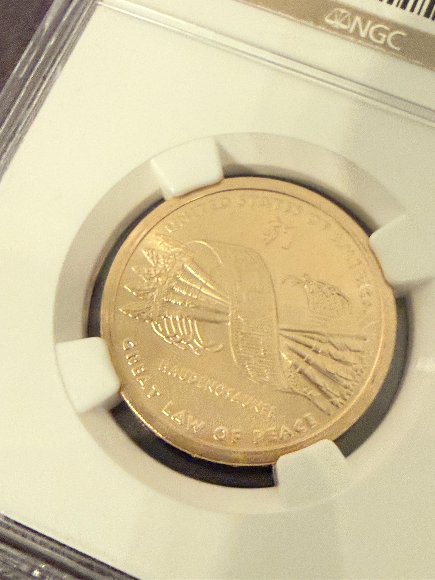 2010-D Sacagawea Dollar Law of Peace NGC Graded Native American Coin