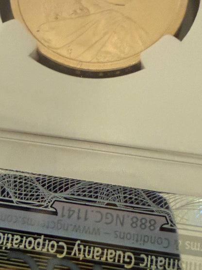 2010-D Sacagawea Dollar Law of Peace NGC Graded Native American Coin