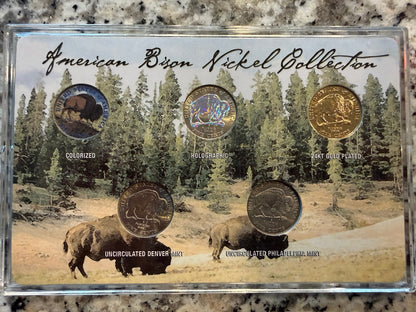 American Bison Nickel Collection 5 Coin Set Colorized Holographic