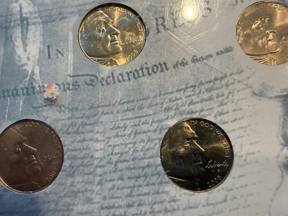 American Bison Nickel Collection 5 Coin Set Colorized Holographic