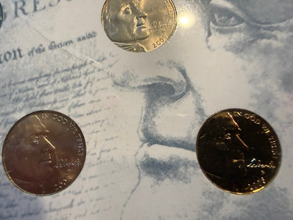 American Bison Nickel Collection 5 Coin Set Colorized Holographic