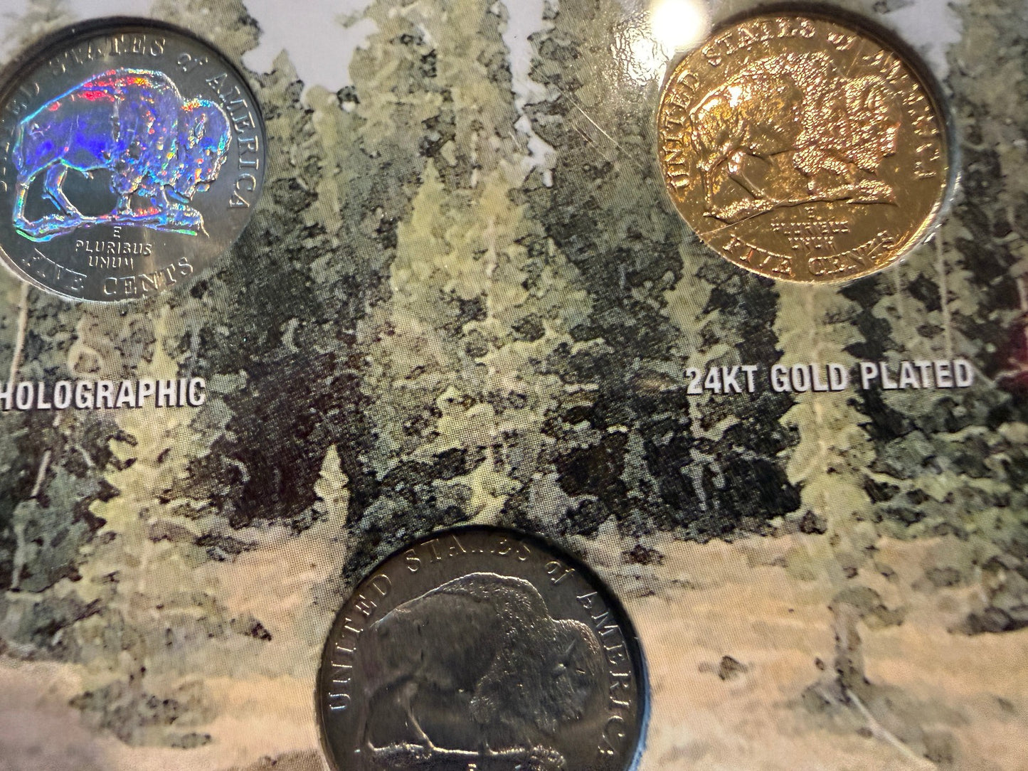 American Bison Nickel Collection 5 Coin Set Colorized Holographic