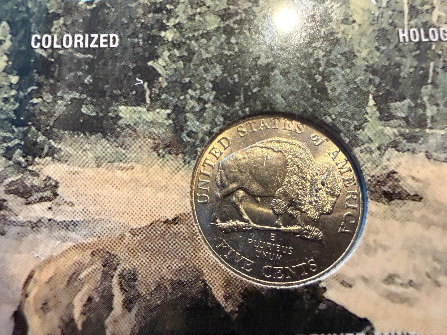 American Bison Nickel Collection 5 Coin Set Colorized Holographic