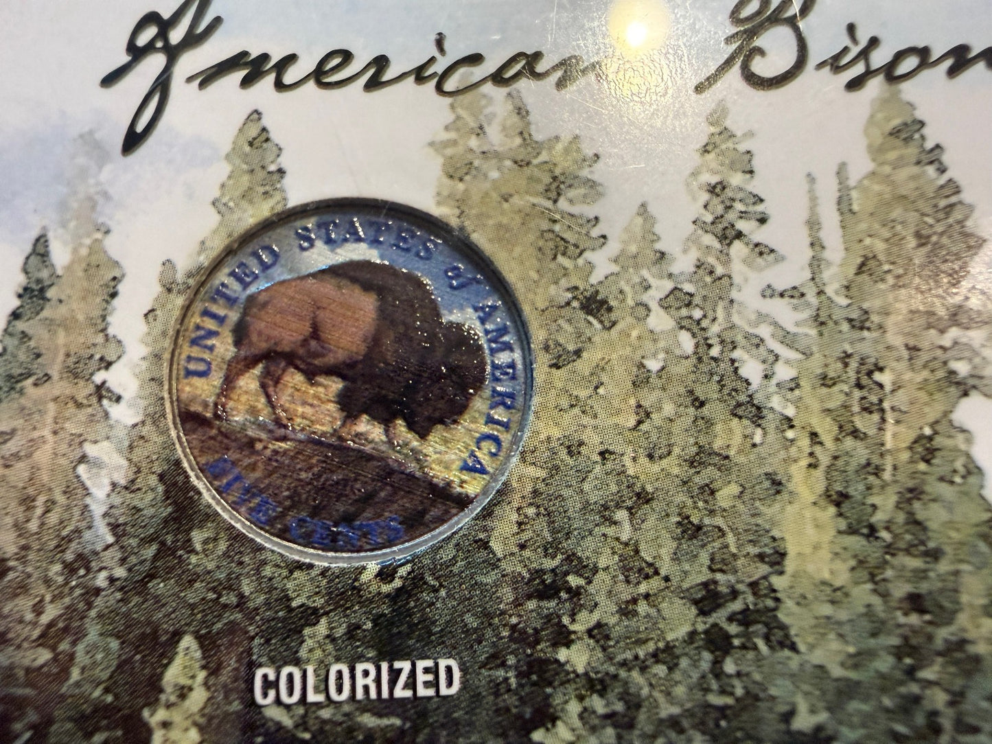 American Bison Nickel Collection 5 Coin Set Colorized Holographic