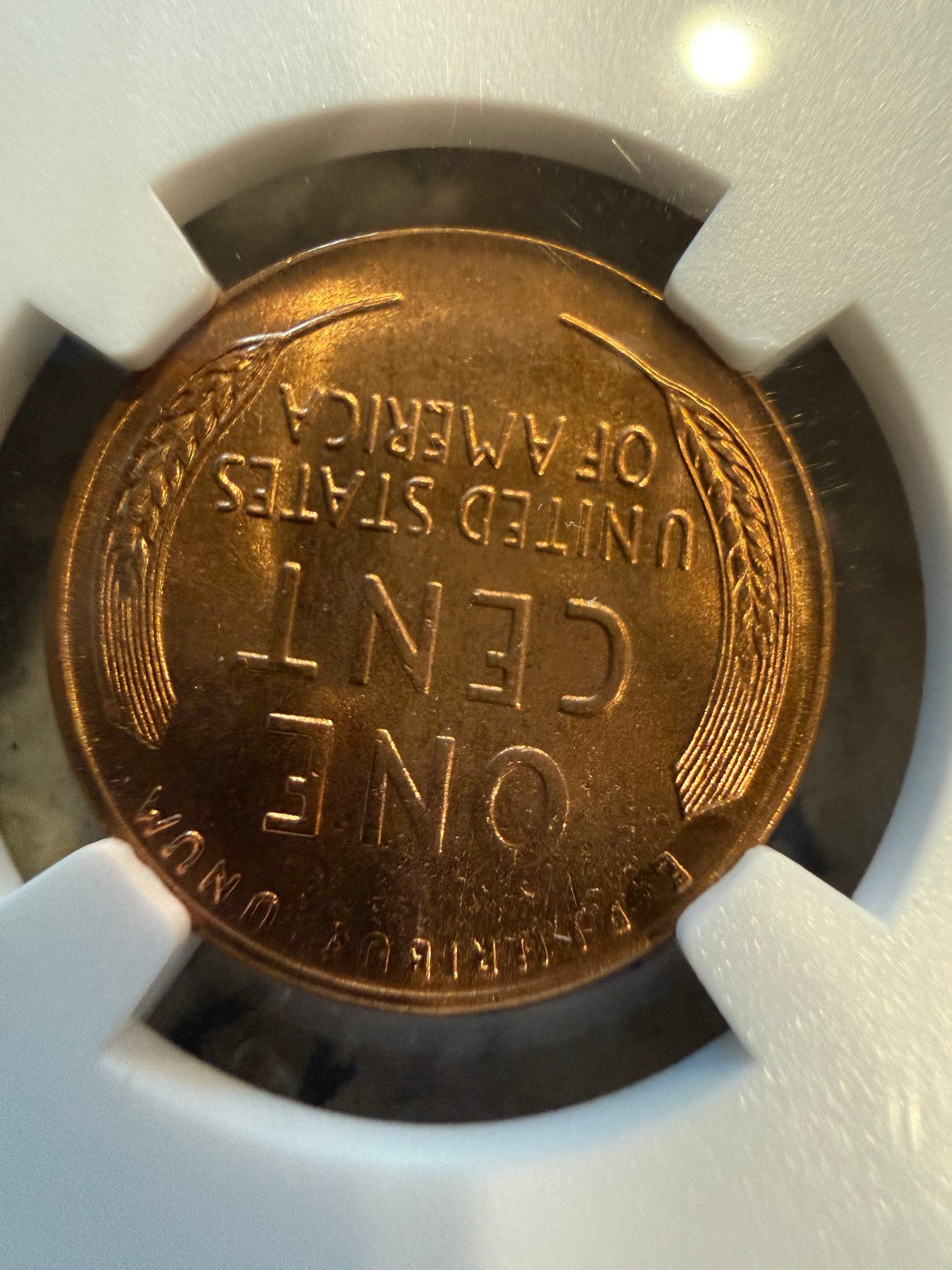 1957-D Lincoln Wheat Cent NGC MS65 RD Brilliant Red Certified Denver Mint Penny